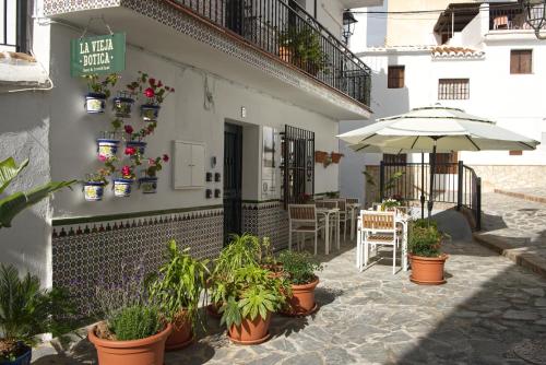 an outdoor patio with plants and an umbrella at La Vieja Botica in Canillas de Aceituno