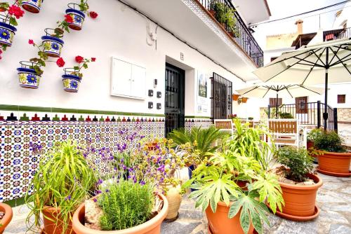 a courtyard with potted plants inront of a building at La Vieja Botica in Canillas de Aceituno