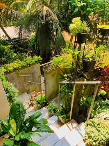 Taman di luar Art House