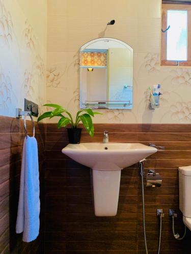 een badkamer met een wastafel, een spiegel en een plant bij Art House in Dikwella