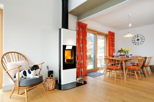 a dog sitting on a chair in a living room with a fireplace at Tom's Lodge in Boat of Garten