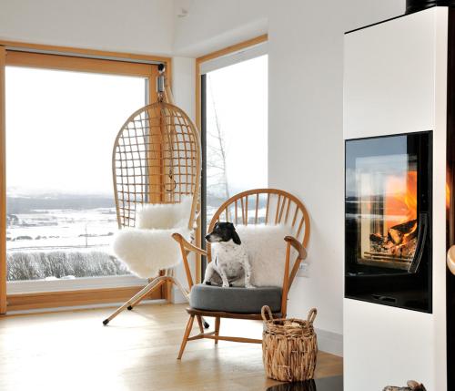 a dog sitting in a chair in a room with a window at Tom's Lodge in Boat of Garten