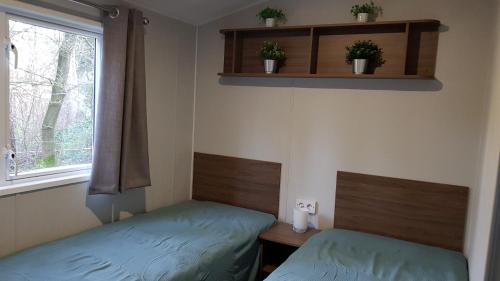 a bedroom with two beds and a window with plants at Vakantiehuis Diever in Diever
