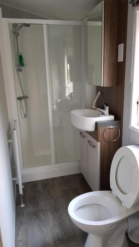 a bathroom with a shower and a toilet and a sink at Vakantiehuis Diever in Diever