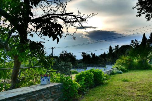 a garden with a stone wall and a tree at Art Villa Pelion in Agria