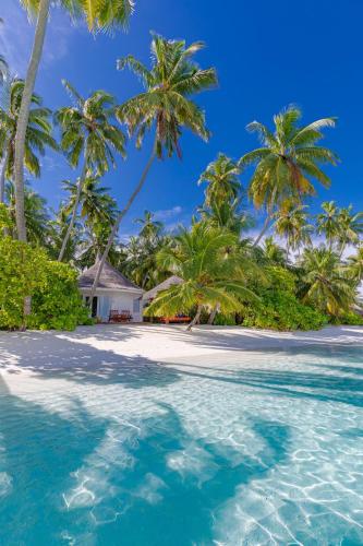 a tropical island with palm trees and a house at Sun Siyam Vilu Reef - 24 Hours All-Inclusive with Free Transfer in Dhaalu Atoll