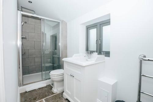 a bathroom with a toilet and a sink and a shower at The Oak - Brand new countryside 2 bedroom annex in Harpsden