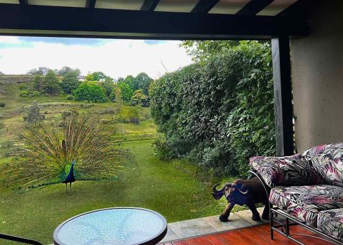 Un jardín fuera de Malachite Manor