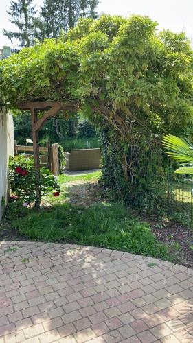 un jardin avec un grand bush verdoyant dans l'établissement Proche Châteaux et Beauval : La Villa Eribelle avec piscine, à Romorantin-Lanthenay