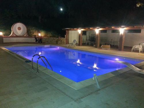 a large swimming pool at night with lights in it at L'Uliveto in Reitano