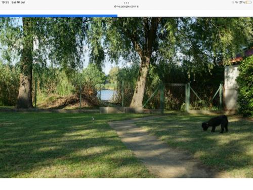 Kis Tisza fishing guest house 6064 Tiszaug, 11 Kis-Tisza utca kép - 3