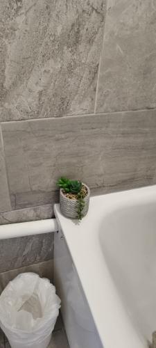 a plant sitting on top of a white bath tub at Sydenham Place in Forest Hill