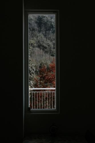 阿里山にあるSunrise Yunqi Teahouseのギャラリーの写真