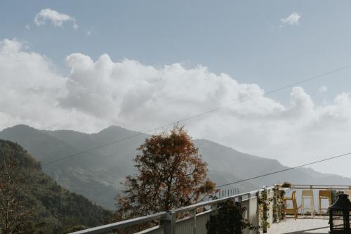 ホームステイの近くで見られる自然の景観