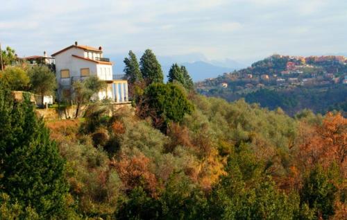 een huis bovenop een heuvel met bomen bij Agriturismo Oliva Azzurra in Valeriano Lunense