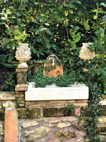 a garden with a water fountain with plants in it at Casale l'Antica Mola in Castel Madama