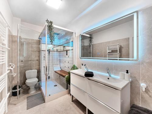 une salle de bain avec une douche, des toilettes et un lavabo dans l'établissement Les 2 Freres - Residence la fontaine Les Sablettes, à La Seyne-sur-Mer