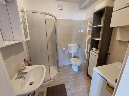 een badkamer met een douche, een wastafel en een toilet bij Apartman Suzy in Pula