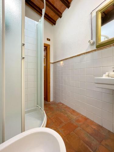 a bathroom with a shower and a toilet at Appartamento Borgo Marittimo in Campo nell'Elba
