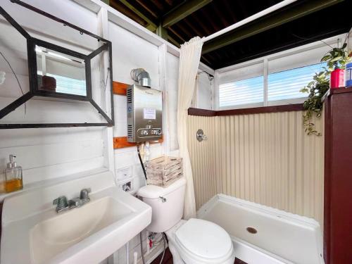 a small bathroom with a toilet and a sink at COZY OFF GRID LAVA HOME - 2 Stories, Ocean View in Pahoa