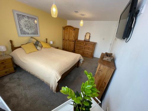 a bedroom with a bed and a flat screen tv at Charming Countryside Cottage Ground Floor Apartment in Combeinteignhead Devon in Bishopsteignton