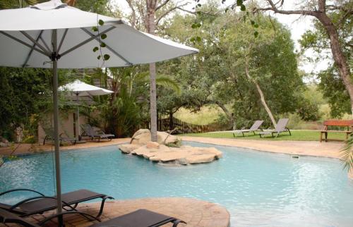 a swimming pool with two chairs and an umbrella at Idube Game Reserve in Sabi Sand Game Reserve
