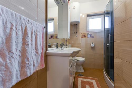 a bathroom with a sink and a toilet and a shower at Apartmani Blažo in Kali