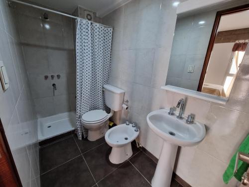 La salle de bains est pourvue d'un lavabo, de toilettes et d'une douche. dans l'établissement Monoambiente temporal Jujuy, à San Salvador de Jujuy