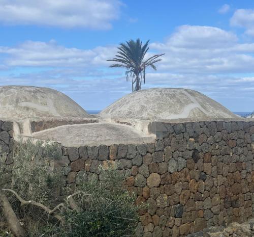 two domes with a palm tree behind a wall at Kirani Resort in Pantelleria