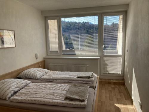 Postel nebo postele na pokoji v ubytování Apartmán Všemina 300