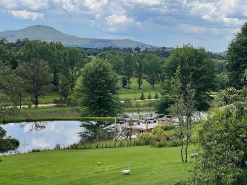 a garden with a picnic table next to a pond at Malachite Manor in Underberg