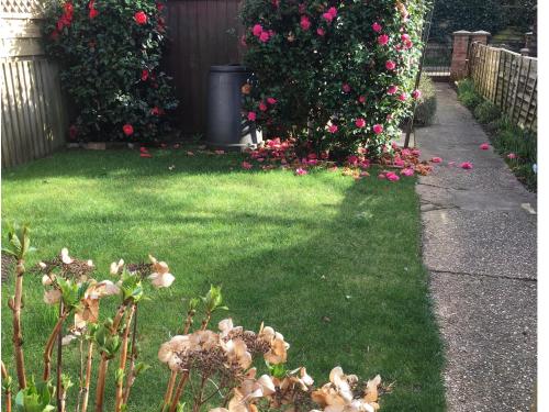 Poppy & Will's – Photos 3