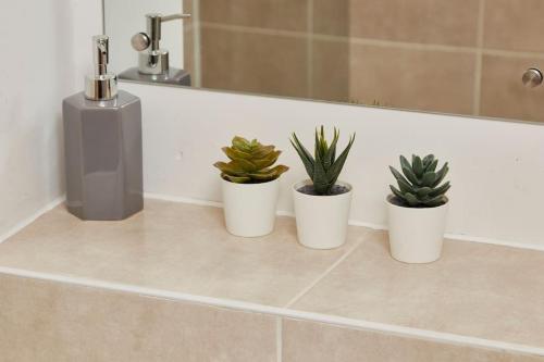 four potted plants sitting on a counter in a bathroom at Stylish Central Manchester Apartment in Manchester