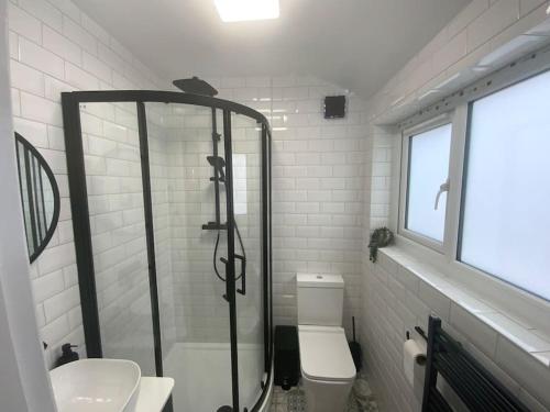 a bathroom with a shower and a toilet and a sink at Centrally located in city of Lincoln Idas Place - two bedrooms each with a kingsize bed in Lincolnshire