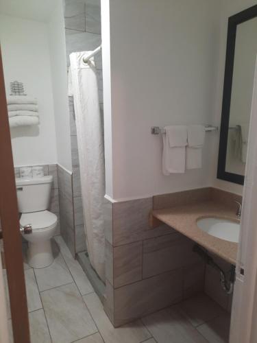 ein weißes Bad mit einem WC und einem Waschbecken in der Unterkunft Motel Reedsburg in Reedsburg