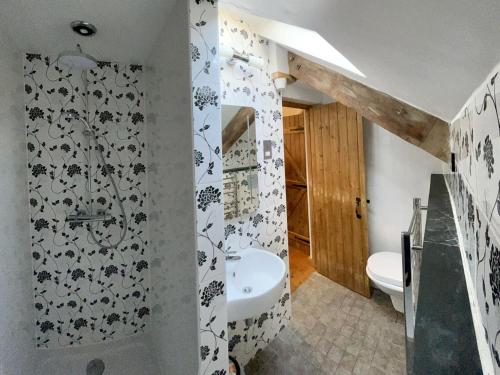 a bathroom with a sink and a toilet at Dolgoy Coach House Loft in Llwyn-Dafydd