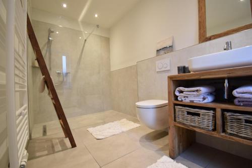 a bathroom with a shower and a toilet and a sink at Ferienhaus Strandgeflüster in Garding