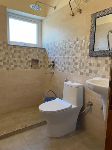 a bathroom with a toilet and a sink at Francolin Lodge-Farmstay @ Darima in Mukteswar