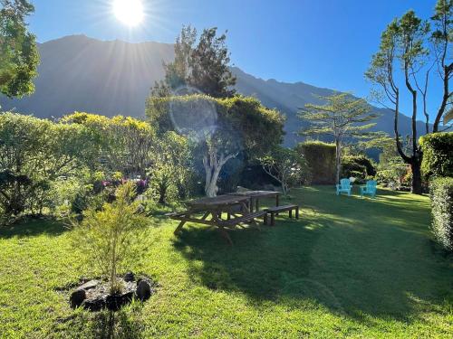 a picnic table in a field with a mountain in the background at La Villa Soalic in Cilaos