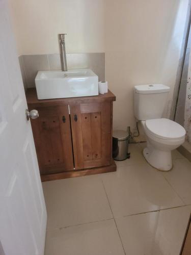 a bathroom with a sink and a toilet at Casa San Francisco in Los Andes