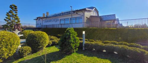 Κήπος έξω από το Hotel Ambrozja