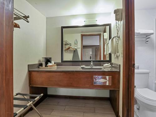 a bathroom with a sink and a mirror at Red Roof Inn Uhrichsville in Uhrichsville