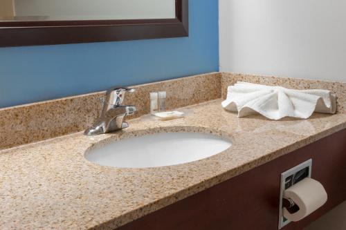 a bathroom counter with a sink and a mirror at Premier Inn & Suites - Downtown Hamilton in Hamilton