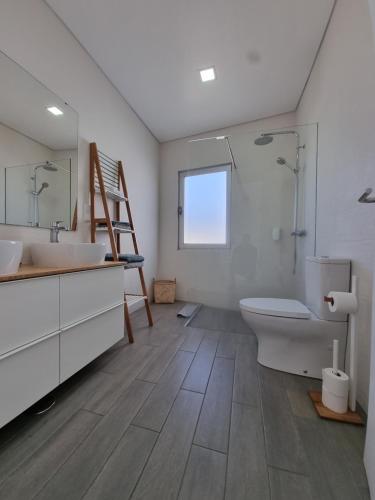 ein Badezimmer mit einem Waschbecken, einem WC und einem Spiegel in der Unterkunft Bay House - Sealife Apartment in Ponta Delgada