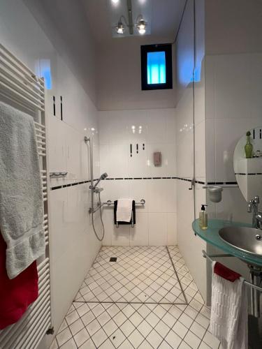 une salle de bain avec douche et lavabo dans l'établissement Hôtel Le Manoir aux Vaches, à Yvetot