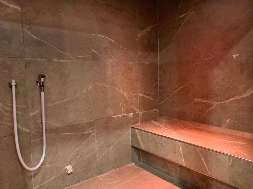 a bathroom with a shower with a walk in shower at Hotel-Pension Seebad "Seegenuss-Natur-Spa" in Sulzberg