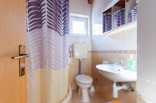 ein Bad mit einem WC und einem Waschbecken in der Unterkunft Apartment Marija Durdica in Lopar