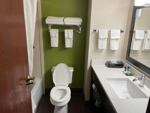 a bathroom with a toilet and a sink at Sleep Inn & Suites near Sports World Blvd in Gatlinburg