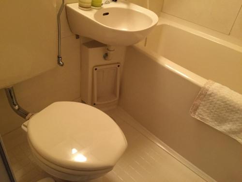 a small bathroom with a toilet and a sink at Pension Ciel in Hakuba