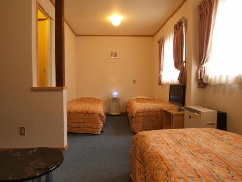 a hotel room with two beds and a television at Pension Ciel in Hakuba